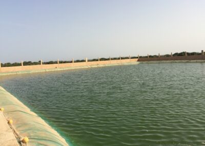 Bassin Piscicole 45m x 35 m