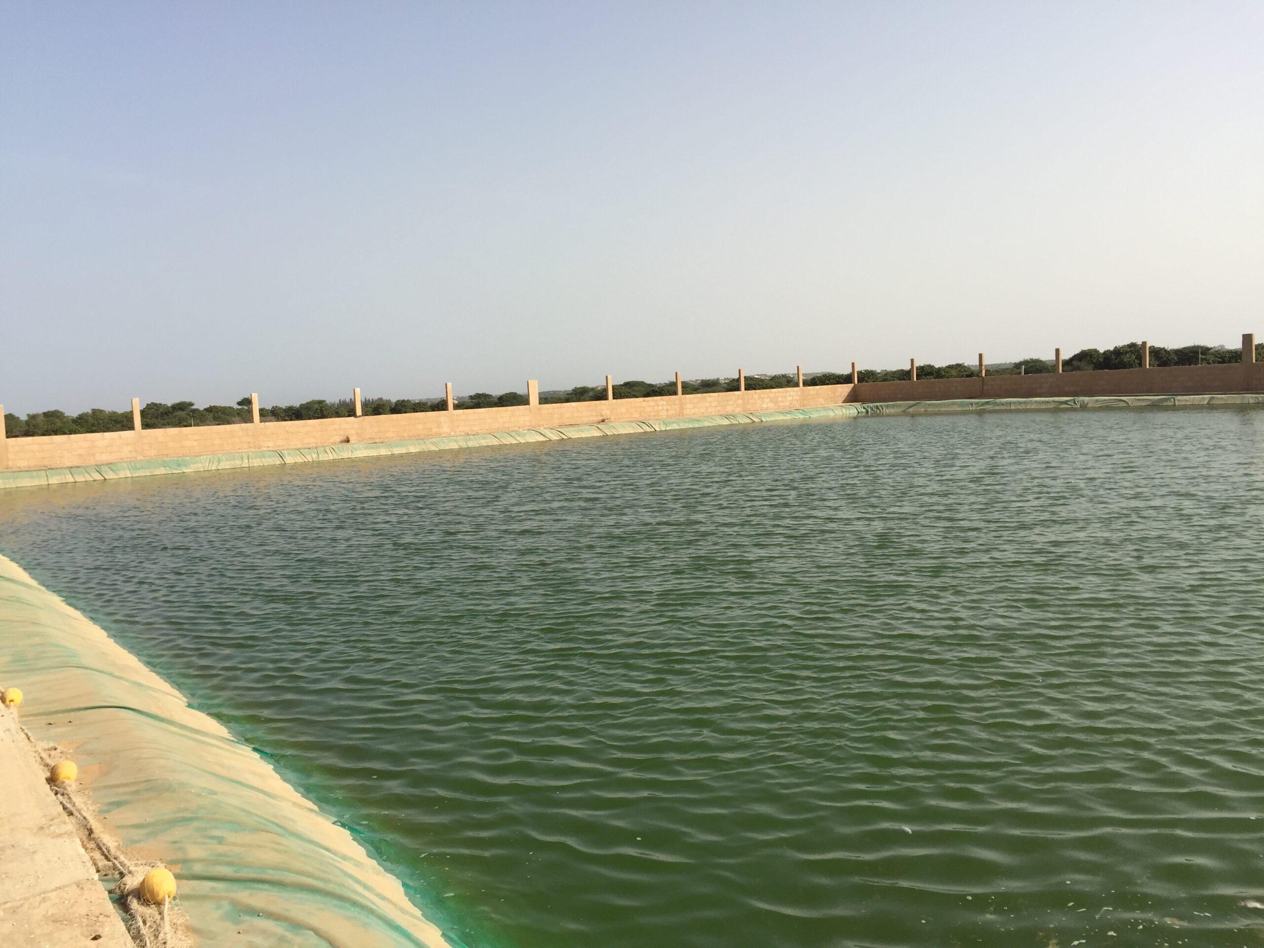 Bassin Piscicole 45m x 35 m (4)